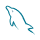 mysql